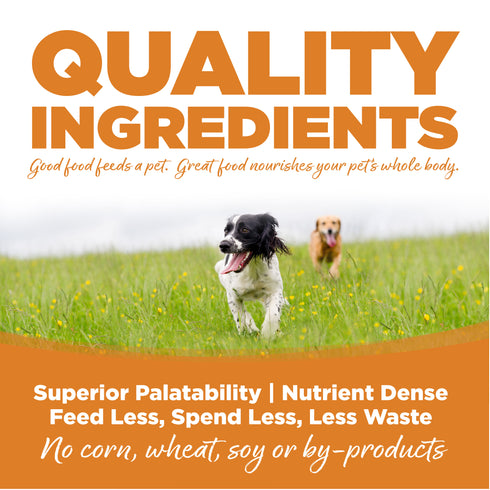 NutriSource Wholesome Grains Dry Dog Food - Lamb Meal & Rice - 26lb Bag